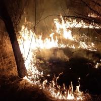Požar kod Tuzle: Nepristupačan teren otežava posao vatrogascima