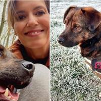 Sue podijelila priču: Kako je pas iz BiH spasio život svoje vlasnice
