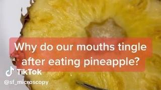 Osjetite peckanje u ustima dok jedete ananas: Evo zašto se to događa