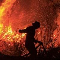 Blizu 30.000 ljudi napustilo domove zbog šumskih požara u zapadnoj Kanadi