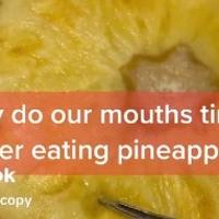 Osjetite peckanje u ustima dok jedete ananas: Evo zašto se to događa