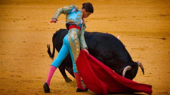 Meksiko vraća borbe s bikovima  - Avaz