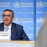 Generalni direktor WHO-a Tedros: Masakr u Gazi mora prestati 