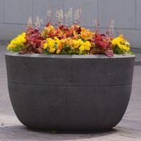 Idealno cvijeće za betonske žardinjere: Podići će estetiku vrta na novi nivo