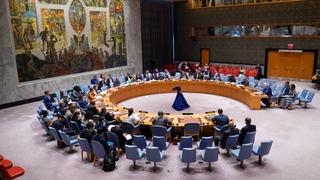 Vijeće sigurnosti UN-a pozvalo na oslobađanje predsjednika Nigera