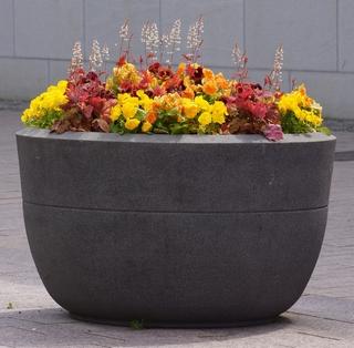Idealno cvijeće za betonske žardinjere: Podići će estetiku vrta na novi nivo