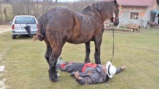 Ivica iz Bugojna vjeruje svom konju: Provlači mu se između nogu