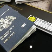 Znate li za "zlatne pasoše": Plaćaju ih i do milion i po KM