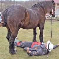 Ivica iz Bugojna vjeruje svom konju: Provlači mu se između nogu