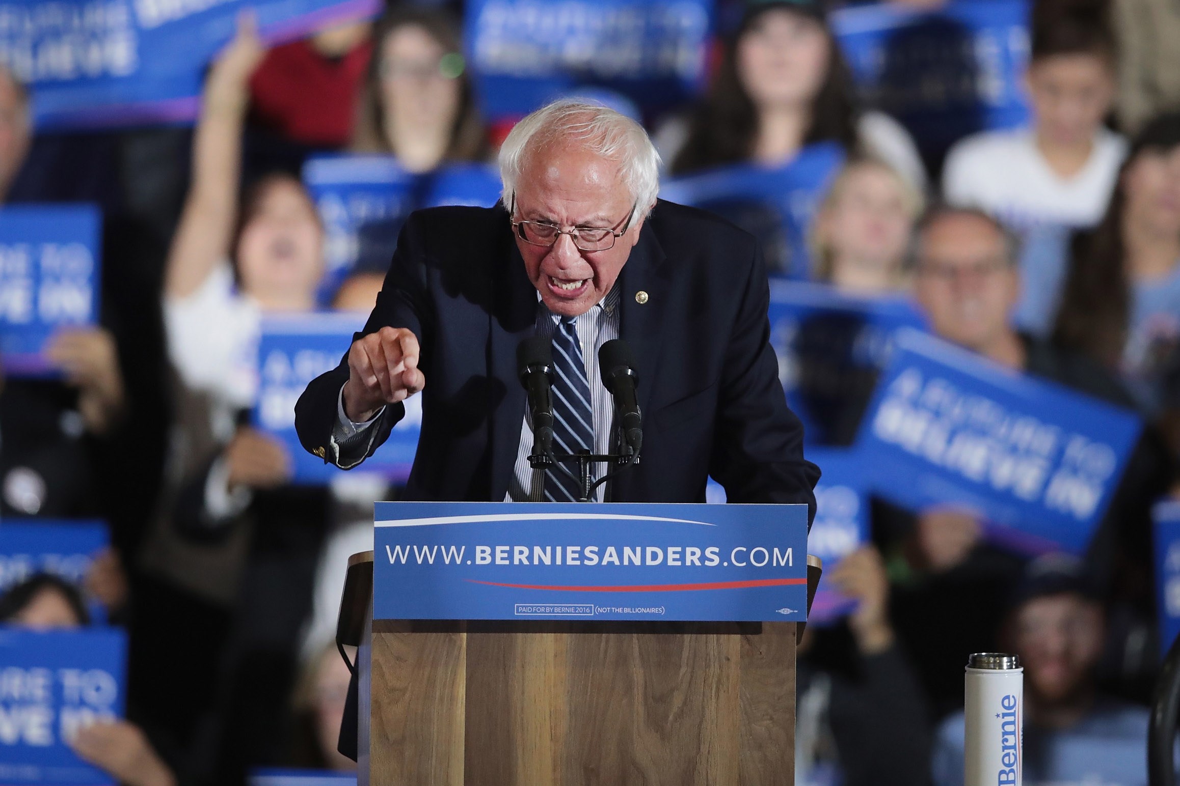 sanders sanders