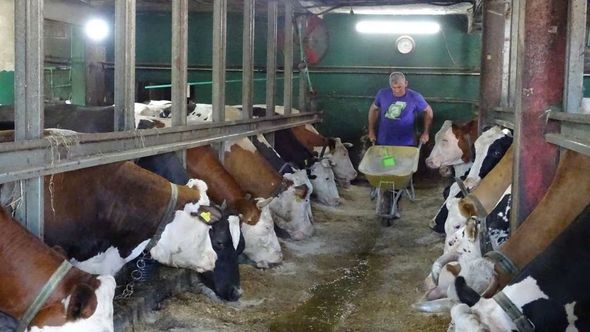 Nakon više decenija rada: Gasi se još jedna farma u BiH