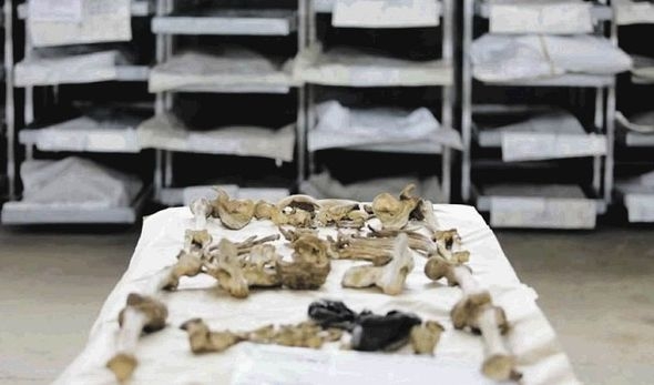 Genocid koji traje i danas: Gotovo 900 ubijenih u Srebrenici još nije pronađeno