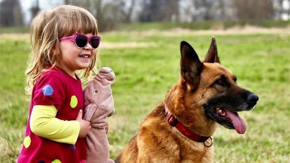 Upozorenje roditeljima: Ovo nikada nemojte raditi psu pred djetetom