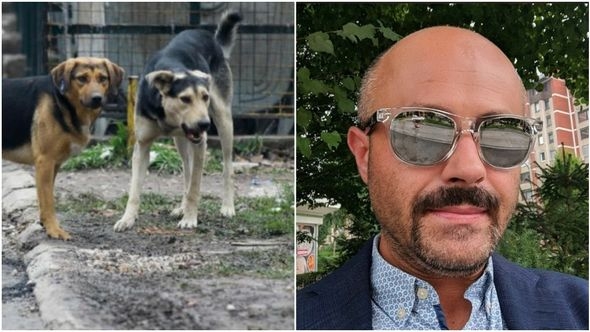 Psi lutalice napali muškarca dok je vodio kćerke u školu