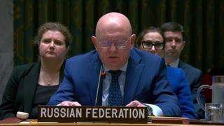 Pogriješio ili došao tobe: Predstavnik Rusije u Vijeću sigurnosti u UN-u rekao da je u Srebrenici bio genocid!