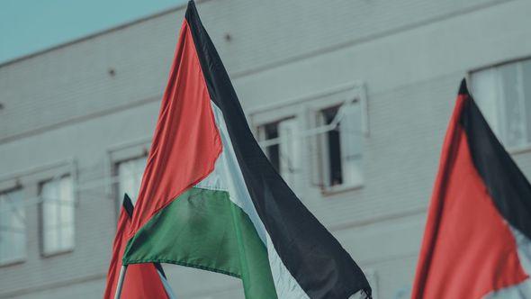 Zastava Palestine - Avaz