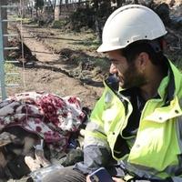 Volonteri spasili psa iz ruševine 55 sati nakon zemljotresa
