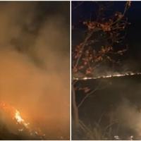 Video / Požar na izletištu Smetovi: Strahuje se od širenja na šumu
