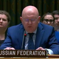 Pogriješio ili došao tobe: Predstavnik Rusije u Vijeću sigurnosti u UN-u rekao da je u Srebrenici bio genocid!