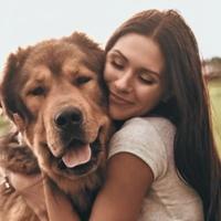 Naučnici otkrili kako se stvara povjerenje između psa i čovjeka: Potrebno je uraditi samo ovo