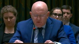 Video / Dio govora predstavnika Rusije u Vijeću sigurnosti UN-a u kojem je rekao da je u Srebrenici bio genocid