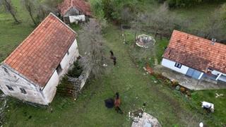 Problemi za porodicu Stupar u selu Suvaja kod Bosanskog Petrovca: Vukovi im rastrgali 11 ovaca, sedam umrlo naknadno, lovci im ne vjeruju!