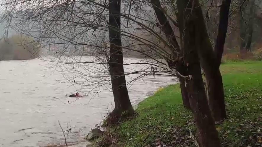 Užas u Zavidovićima: Žena skočila s mosta u rijeku Bosnu, mrtvozornik konstatovao smrt