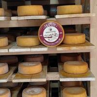 Trapist, sir koji je iz BiH obišao svijet mogao bi dostići proizvodnju od pet tona mjesečno